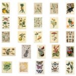 Product-0013 - Image 2